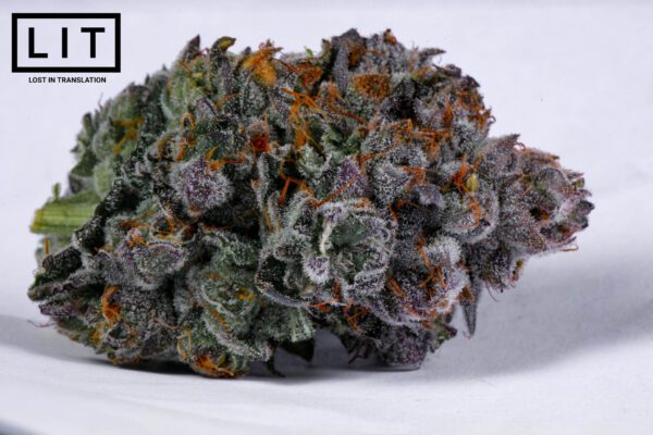 Cat Nip - LIT Farms - Image 7