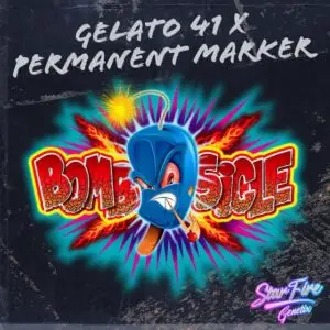 Bombsicle - StarFire Genetix
