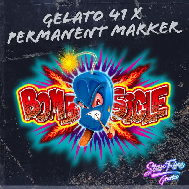 Bombsicle - StarFire Genetix