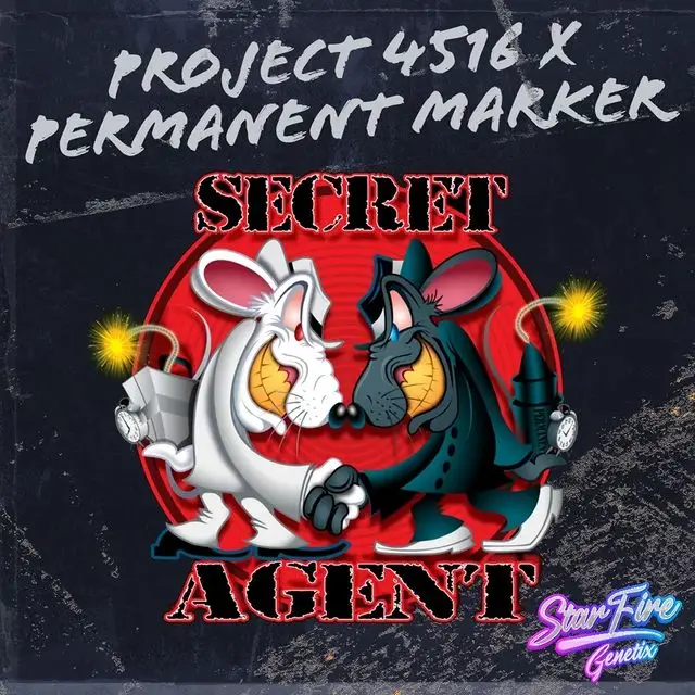 Secret Agent - StarFire Genetix SeedTopia cannabis seed bank Thailand