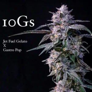 10Gs - Compound Genetics