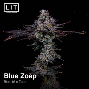 Blue Zoap - LIT Farms. Cannabis seed bank Thailand