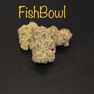 Fish Bowl - Savage Genetics