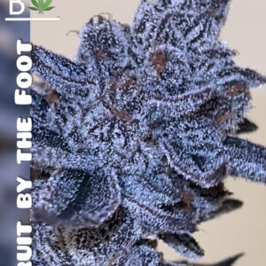 Fruit by the Foot - BeLeaf Genetics