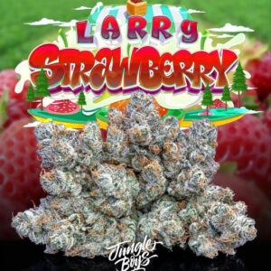Larry Strawberry - Jungle Boys