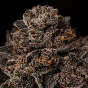 Permanent Marker S1 - Seed Junky Genetics