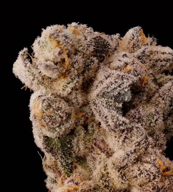 Scented Marker - Seed Junky Genetics - Image 3